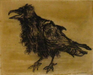 Raven in ink